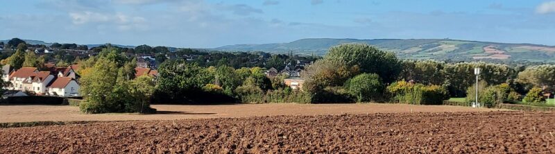 Across fields, Comeytrowe, Taunton